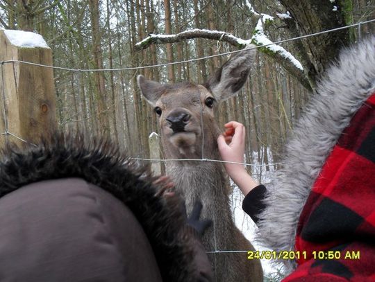 Zaszczepić miłość do przyrody