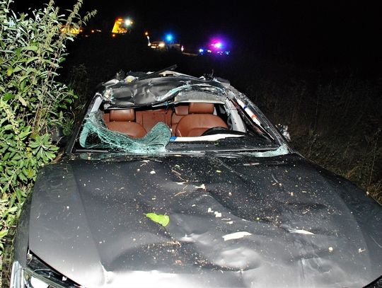 ZDERZENIE AUDI Z ŁOSIEM – POLICJANCI APELUJĄ O OSTROŻNOŚĆ