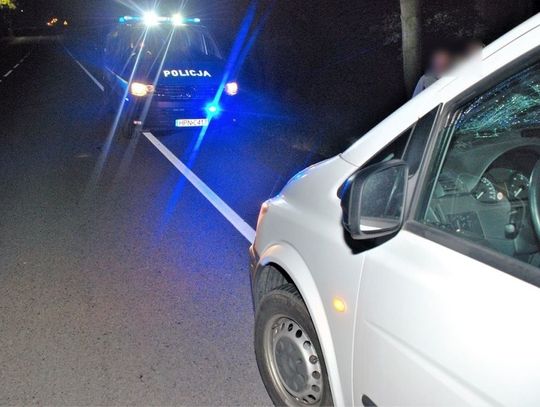 Zderzenie z łosiem w Waćmierku. Ranna 46 letnia kobieta.