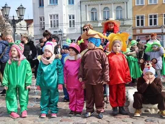 (ZDJĘCIA) Powitanie wiosny w samym sercu starówki! Jedynie niedźwiadek sprawiał trochę kłopotu...