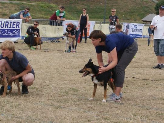(ZDJĘCIA) Psie sztafety rywalizowały na bulwarze. Zmaganiom przyglądali się mieszkańcy