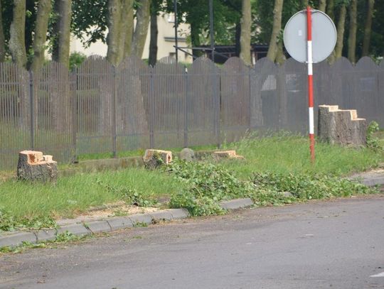 (ZDJĘCIA) Znikają drzewa przy Gdańskiej. Trwają przygotowania do przebudowy drogi