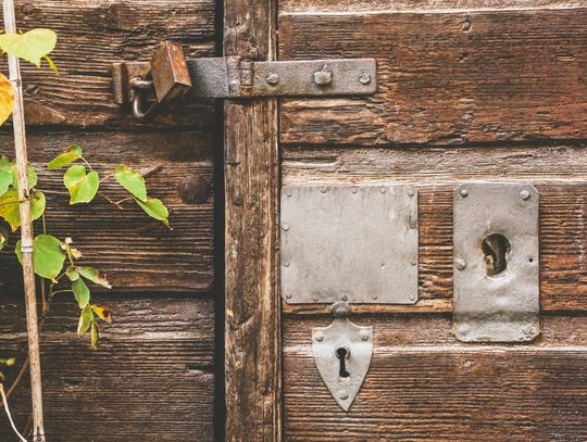 Zielone ogrodzenia – jak roślinność może uzupełniać bramy i ogrodzenia