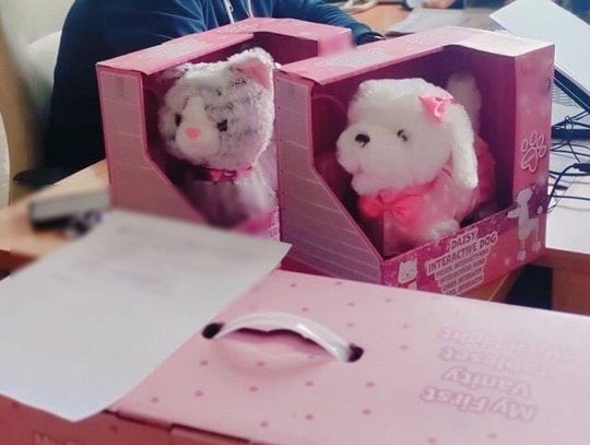 Złodziej kradł m.in. dziecięce toaletki, walizki i plecaki. Straty sięgnęły kilku tysięcy zł