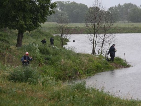 Złoty medal za „największą” rybę