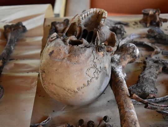 Znaleźli sporą liczbę ludzkich kości. Rusza kolejny sezon badań 