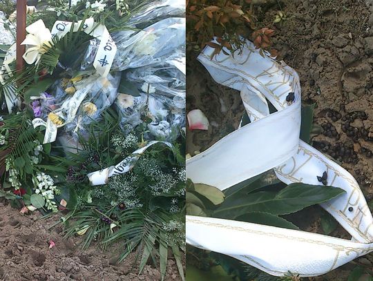 Zwierzęta paskudzą groby - problem na Cmentarzu Komunalnym