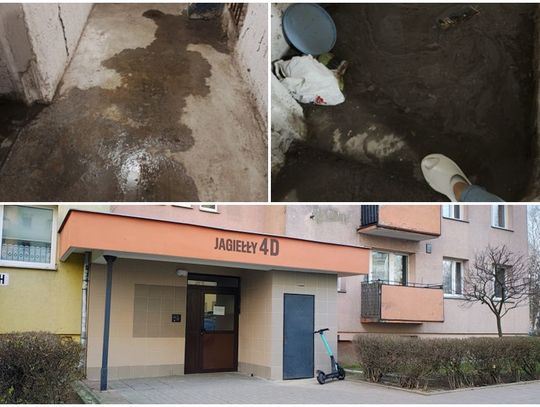 Życie w 10-piętrowcu: grzyb na ścianie i wysokie koszty