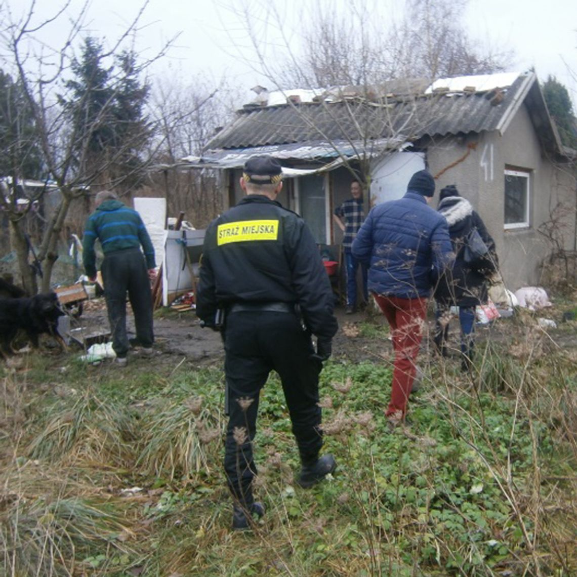 -10 st. C - tymczasem na tczewskich działkach mieszka 21 osób. Wszystkie odmówiły pomocy -10 st. C - tymczasem na tczewskich działkach mieszka 21 osób. Wszystkie odmówiły pomocy