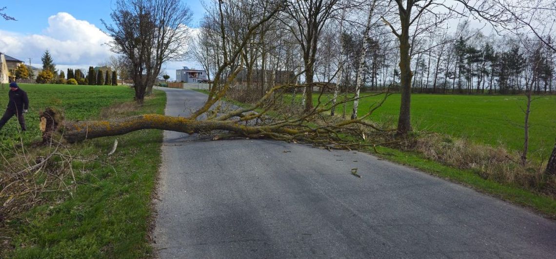 170 interwencji w województwie pomorskim. Niebezpiecznie w powiecie, ale sytuacja pod kontrolą