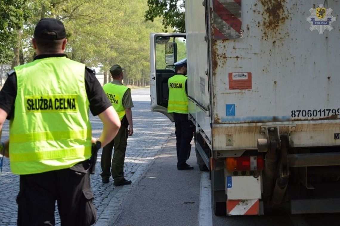 34 mandaty po akcji „truck i bus” 34 mandaty po akcji „truck i bus”