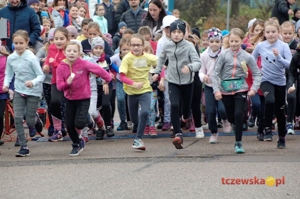 353 młodych biegaczy rywalizowało w biegu Małego Sambora (ZDJĘCIA)