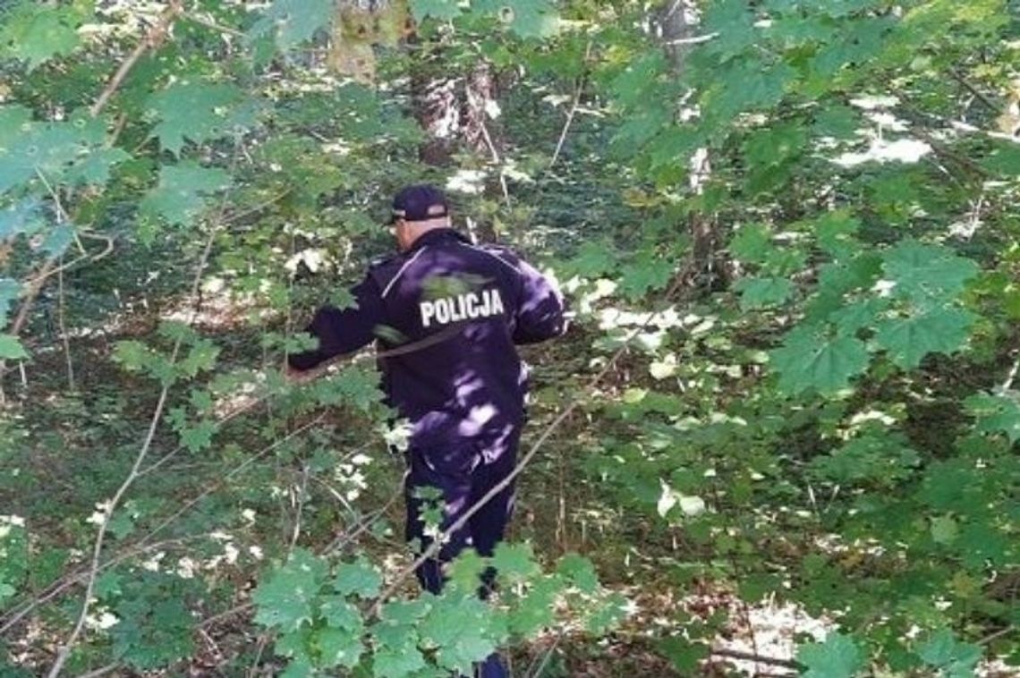 70-latek, który wybrał się na grzyby i zaginął w lesie. Znaleziono go martwego...