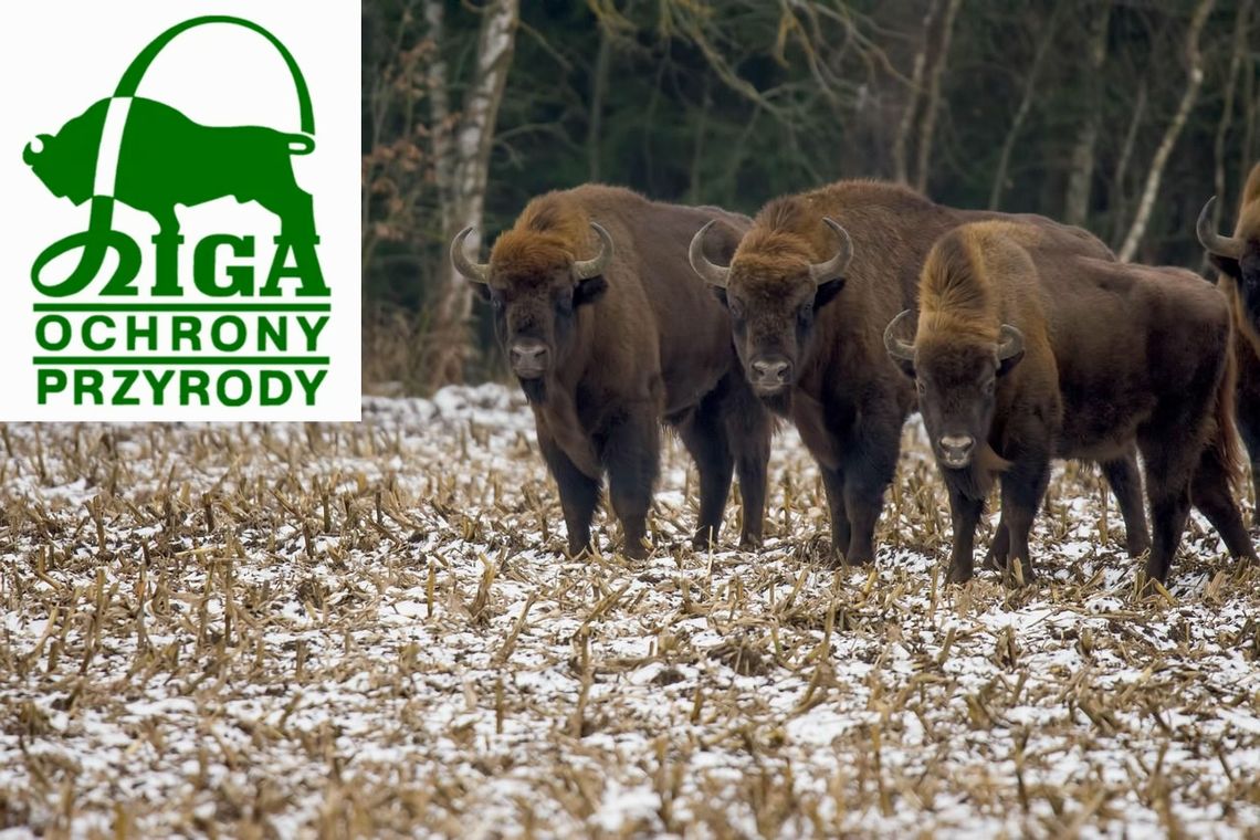 9 stycznia 2026 r. - Ważny dzień w kalendarzu. Dzień Ligi Ochrony Przyrody 9 stycznia 2026 r. - Ważny dzień w kalendarzu. Dzień Ligi Ochrony Przyrody