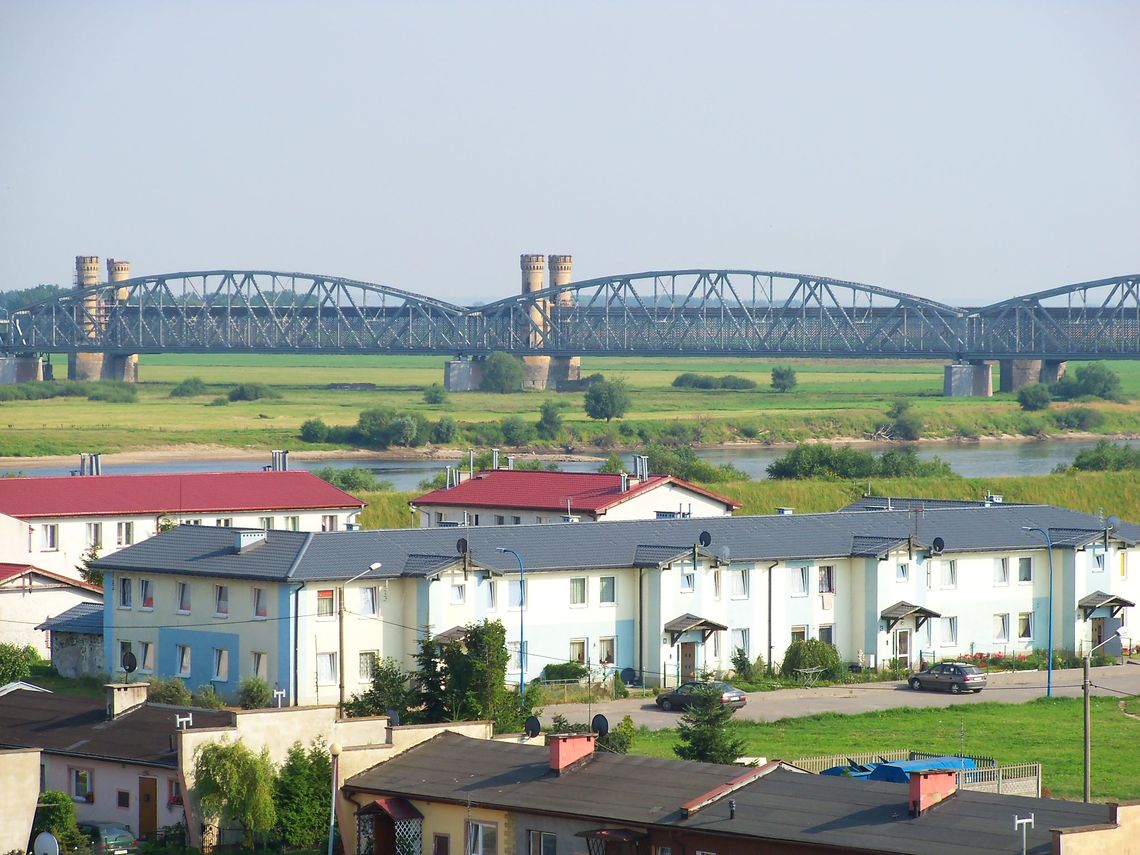 Abisynia czuje się zaniedbana. Lista palących problemów... Abisynia czuje się zaniedbana. Lista palących problemów...