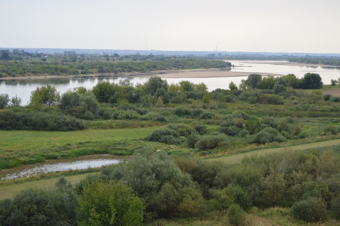 Apartamentowce nad Wisłą? Pomysł ciekawy, ale czy realny?