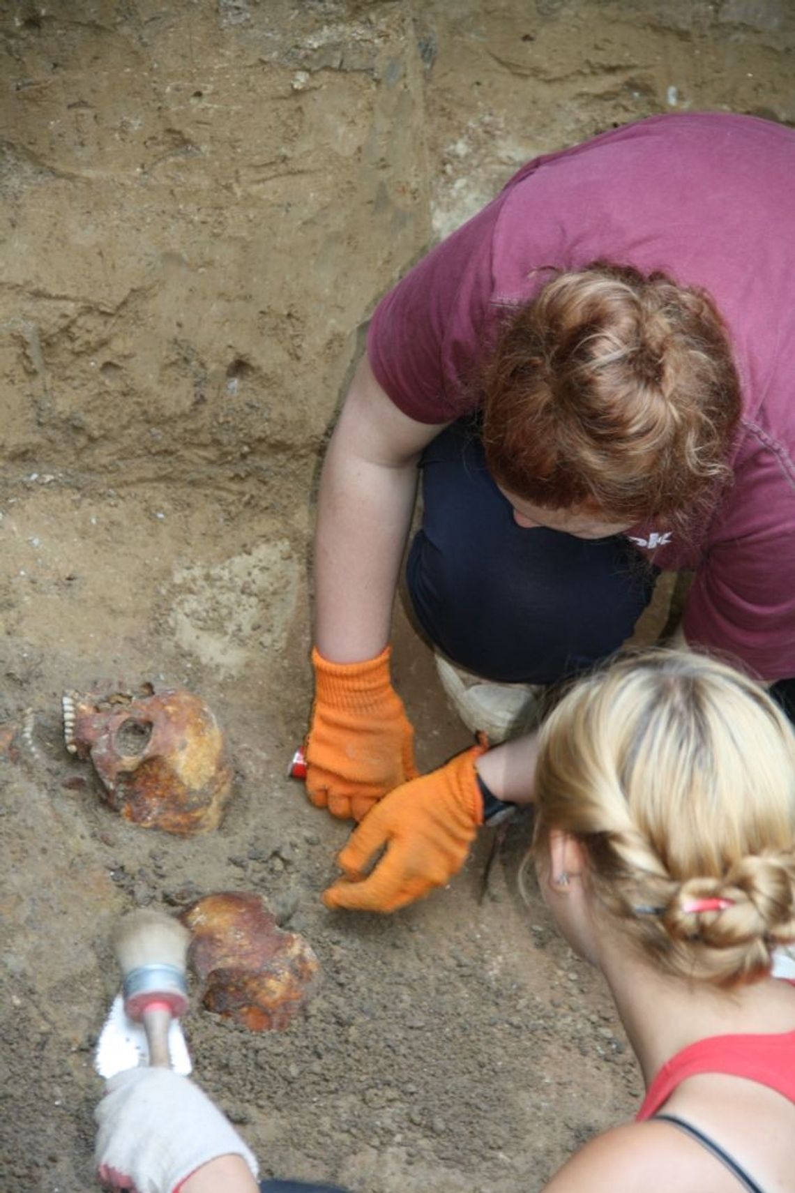 Archeolodzy odkryli tysiąc szkieletów!