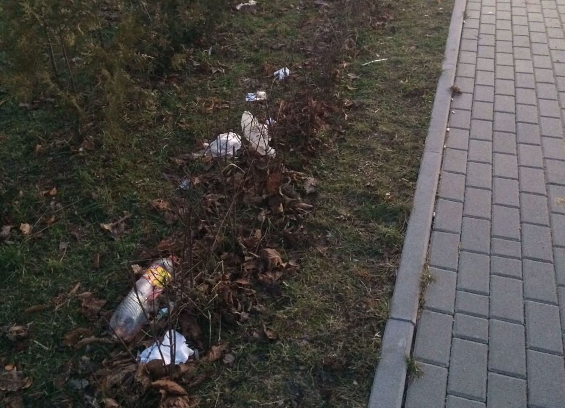 Bałagan przy chodniku, a służby licytują się kto ma posprzątać Bałagan przy chodniku, a służby licytują się kto ma posprzątać