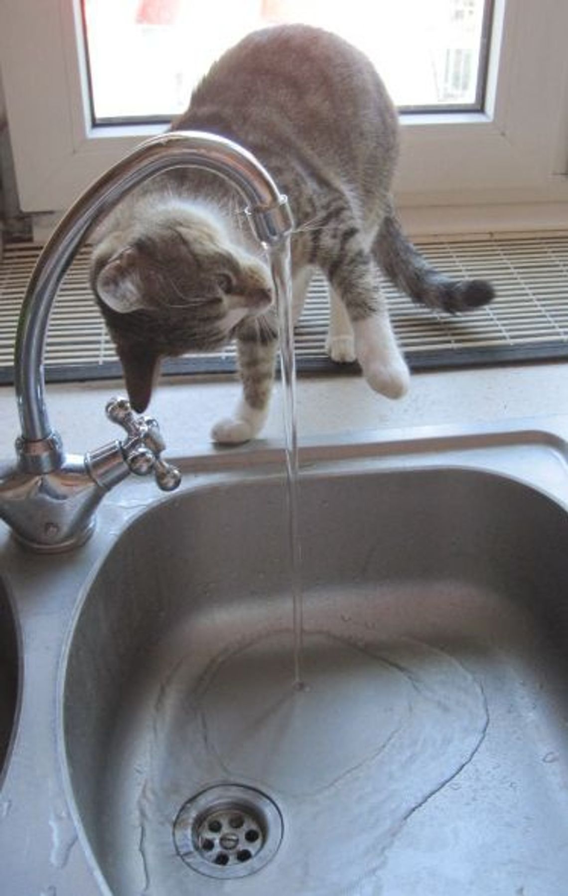 Będzie drożej za wodę i ścieki. ZWiK zmodernizuje infrastrukturę