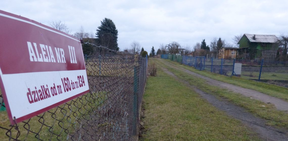 Bezdomni kontra prezes: "Chcemy mieszkać na działkach!"