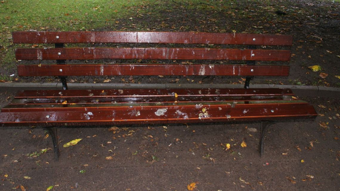 „Białe” ławki w Parku im. M. Kopernika. Mieszkańcy: dlaczego nikt ich nie sprząta?