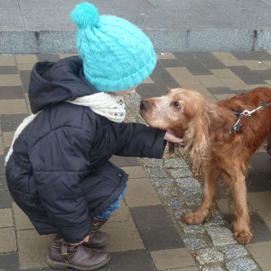 By pokazać świat bez krat