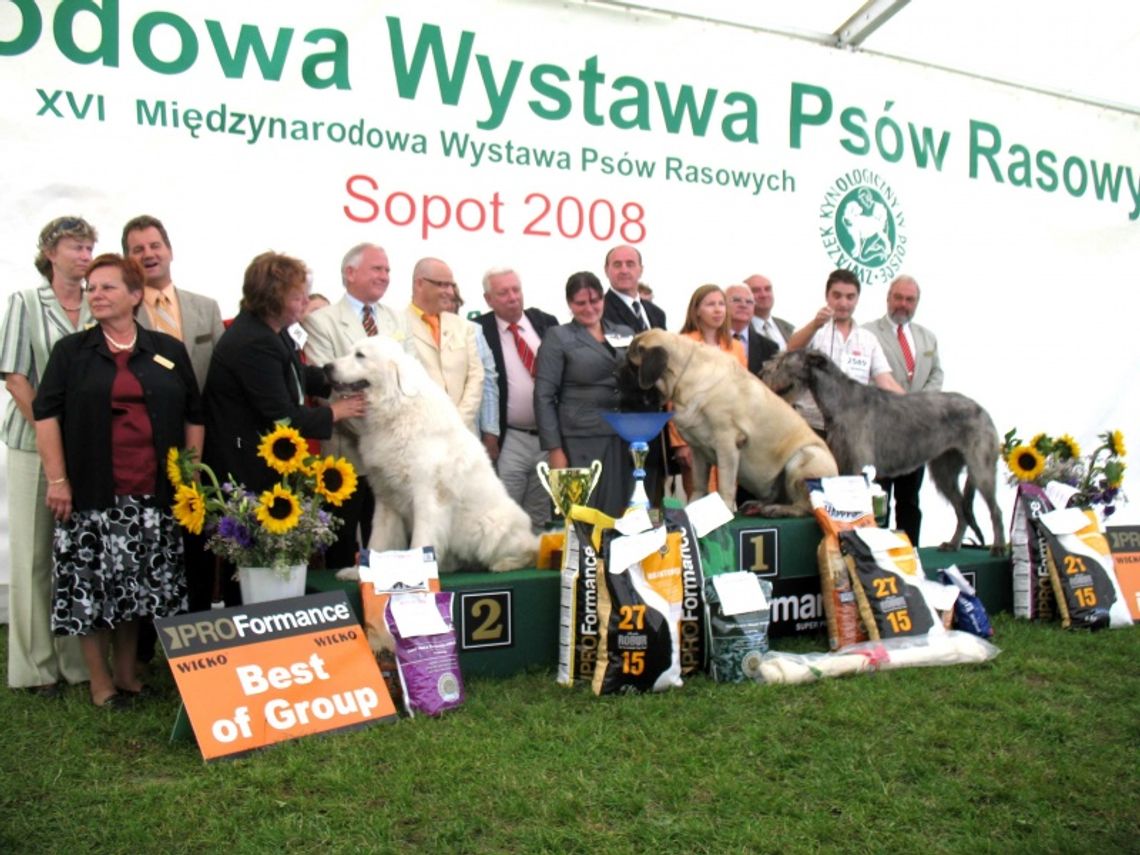 Champion z mieszanymi uczuciami Champion z mieszanymi uczuciami