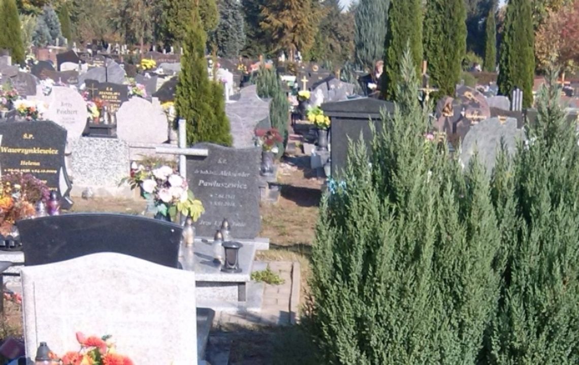 Cmentarz komunalny przy ul. Rokickiej będzie posiadać internetową bazę kwater Cmentarz komunalny przy ul. Rokickiej będzie posiadać internetową bazę kwater