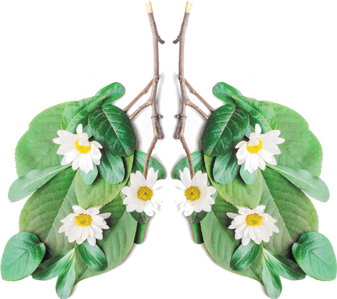 Co warto wiedzieć o alternatywach dla papierosa Co warto wiedzieć o alternatywach dla papierosa