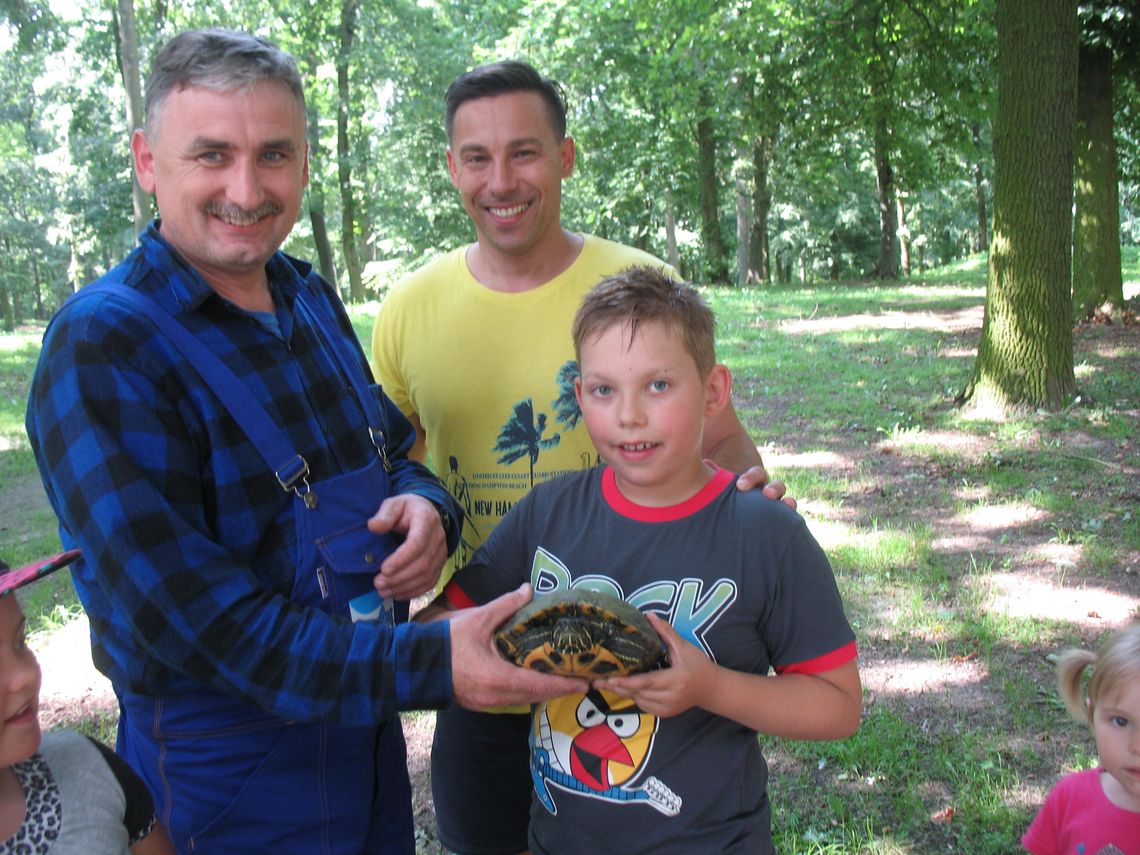 Coś ruszało się pod drzewem. W Parku Miejskim znaleźli... żółwia