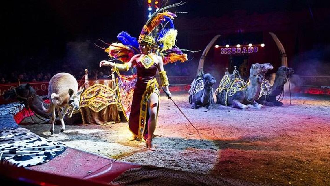 Cyrk Medrano już w Tczewie Cyrk Medrano już w Tczewie