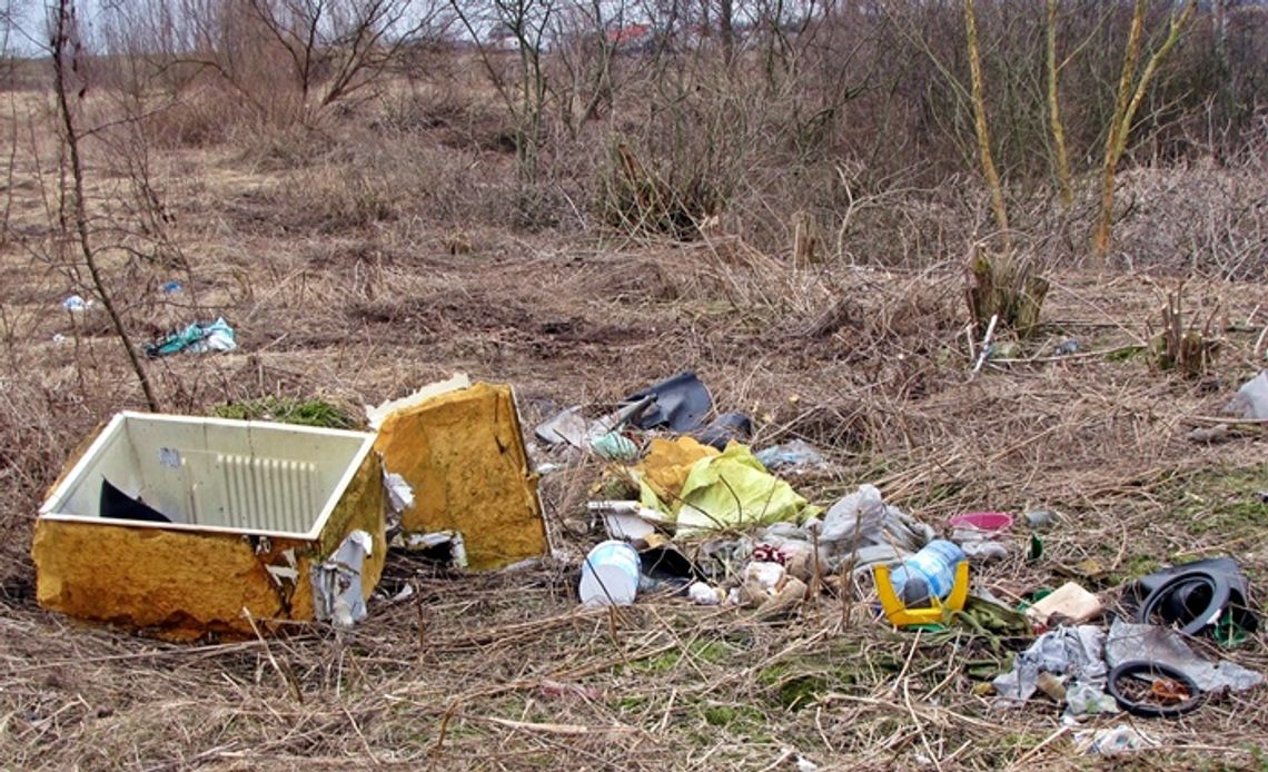 Czas oddać deklaracje – kara dla spóźnialskich