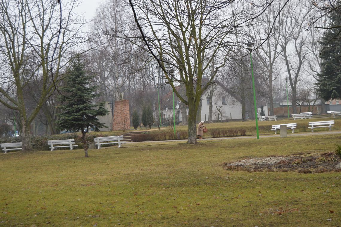 Czy realna jest mała obwodnica przy Parku Kopernika?