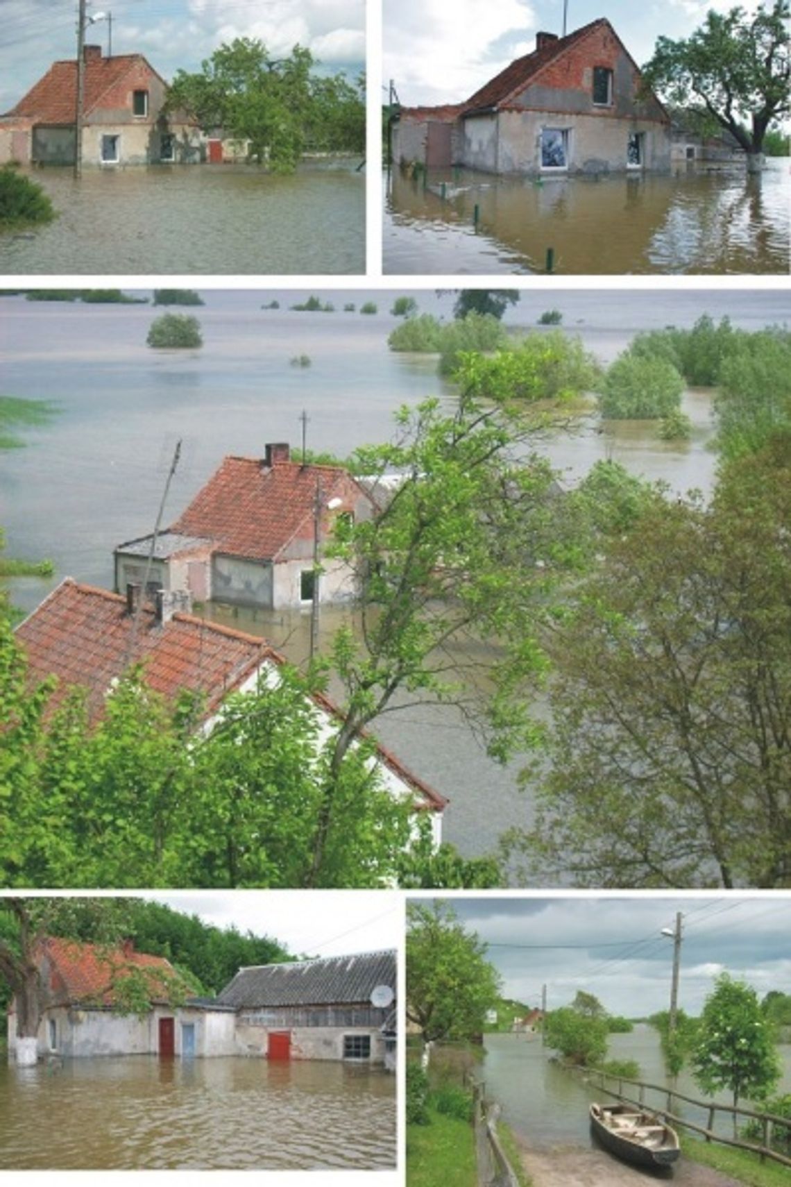 Czyja wina i… woda? Zalewana Nizina Walichnowska Czyja wina i… woda? Zalewana Nizina Walichnowska