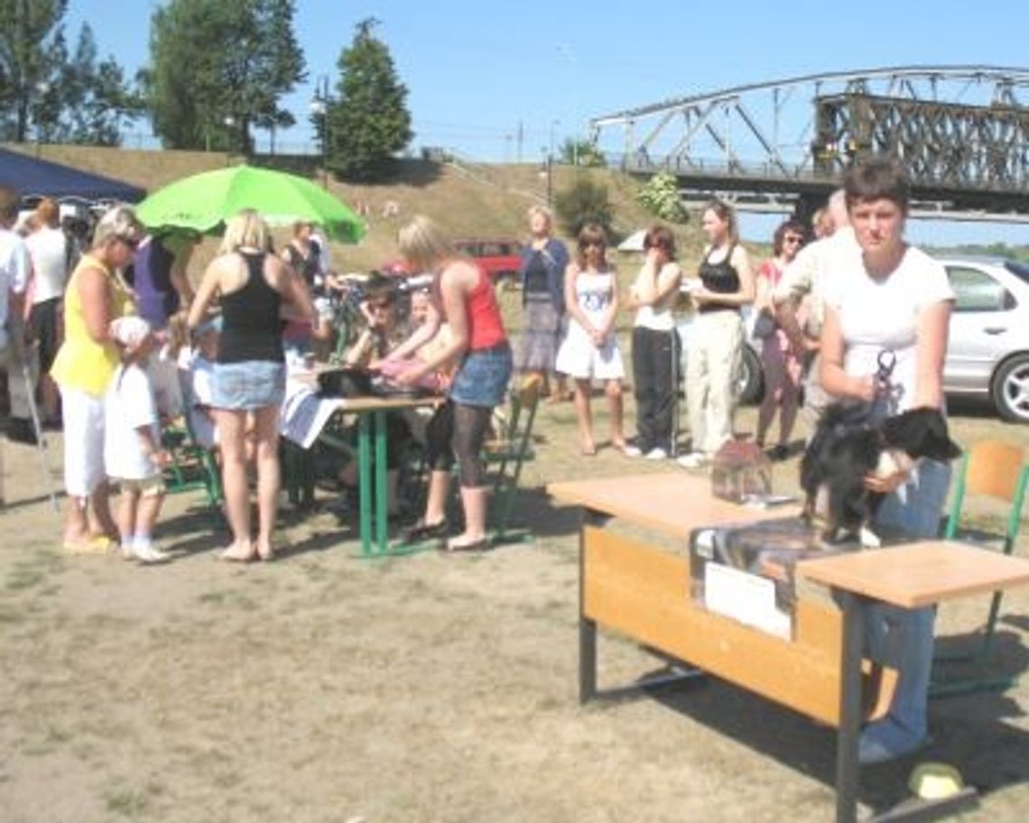 Dmuchane zamki, kucyki i... muzyka Dmuchane zamki, kucyki i... muzyka