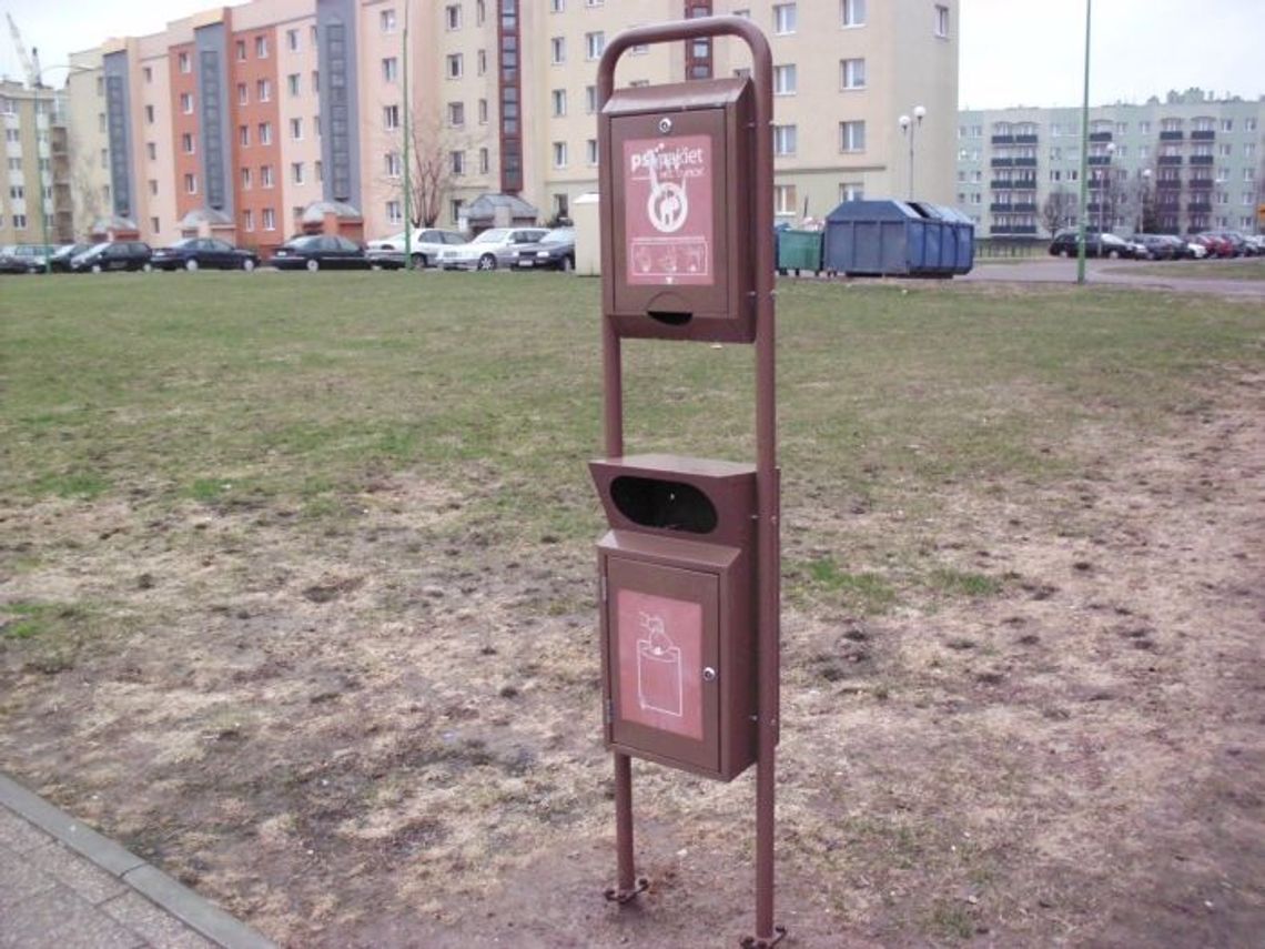 Drobnoustroje i bakterie na chodnikach. Czy przez psie odchody miastu grozi epidemia? Drobnoustroje i bakterie na chodnikach. Czy przez psie odchody miastu grozi epidemia?