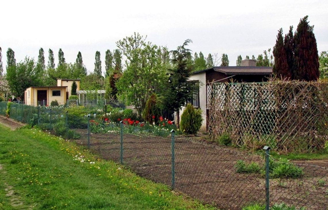 Działkowców straszą prezydentem? Działkowców straszą prezydentem?