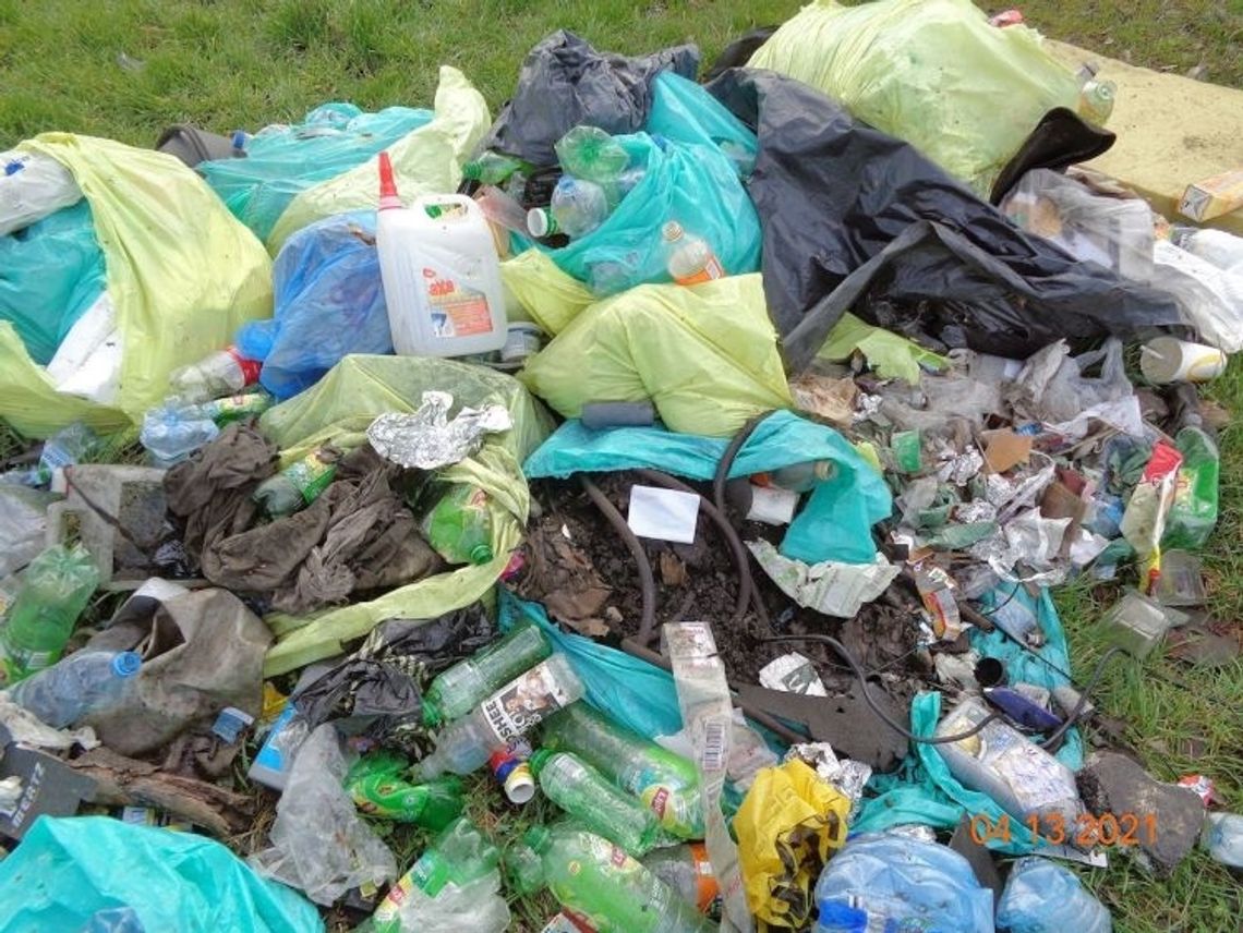 Dzikie wysypisko śmieci – sprawca ukarany