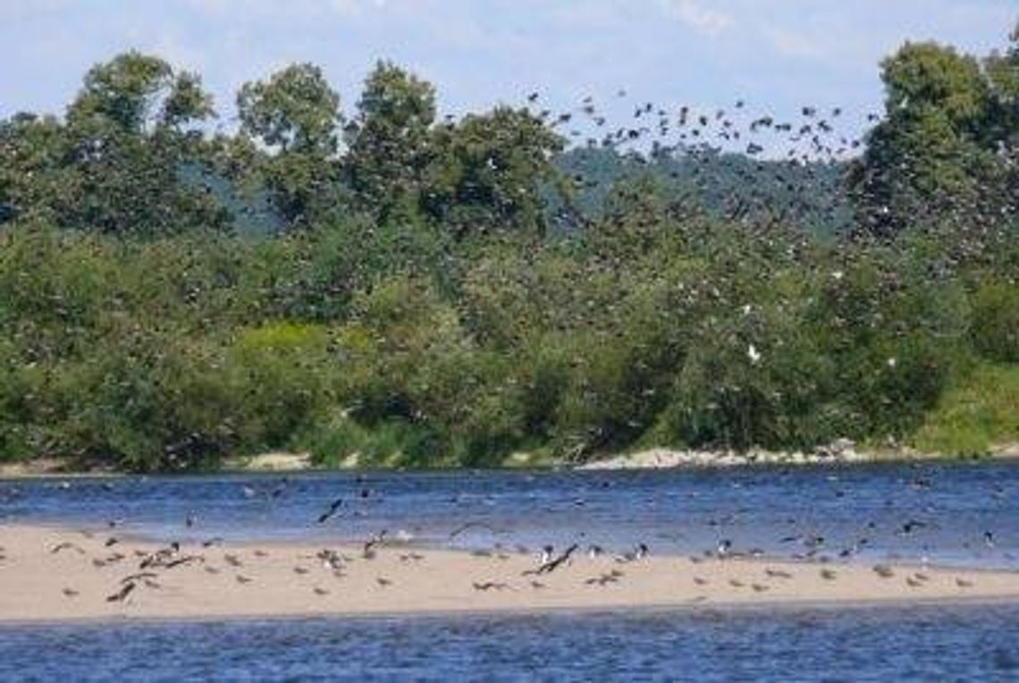 Dziś TVP rozpoczęła zdjęcia do serii filmów m.in. o Wiśle. Odwiedzą nasz powiat