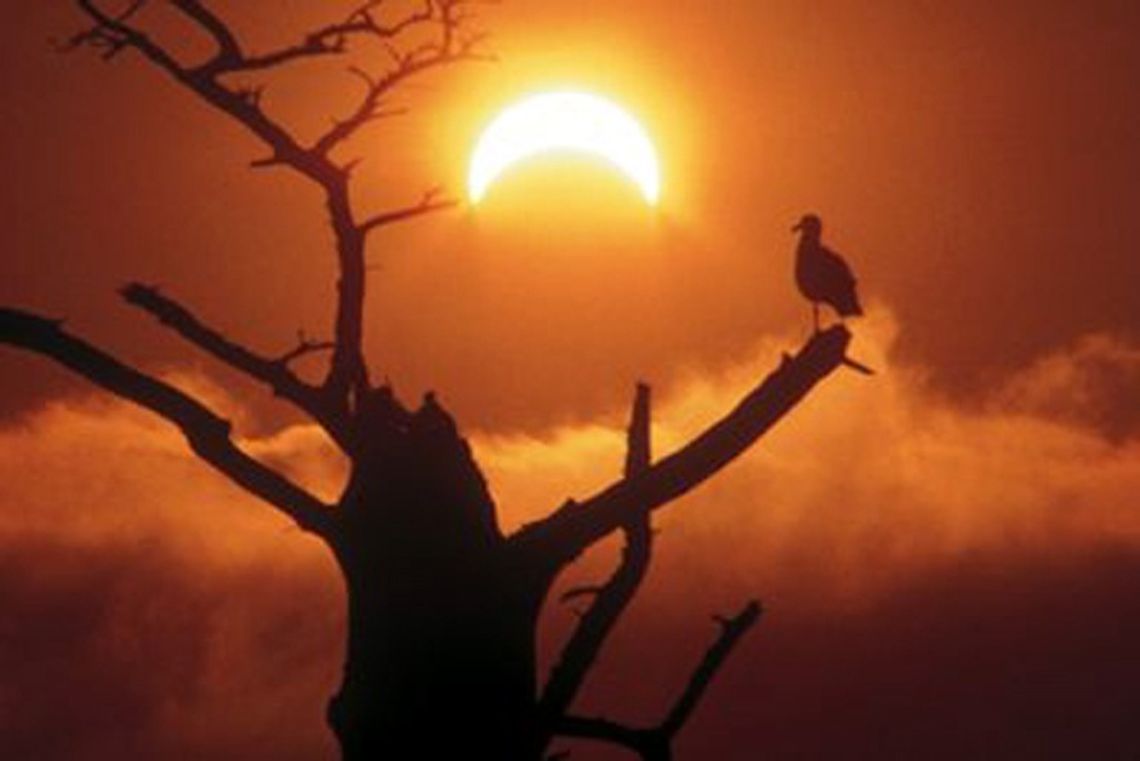 DZISIAJ było zaćmienie Słońca na 30 proc. - kolejne za sto lat!!!