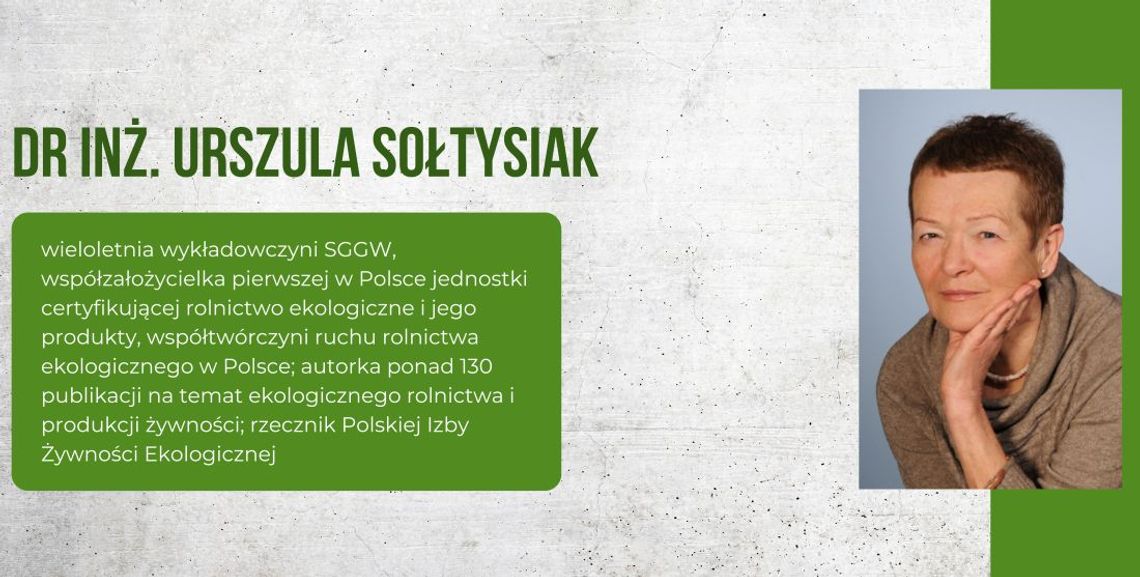 Euroliść – prawdziwe eko czy chwyt marketingowy? Ekspertka rozwiewa wątpliwości