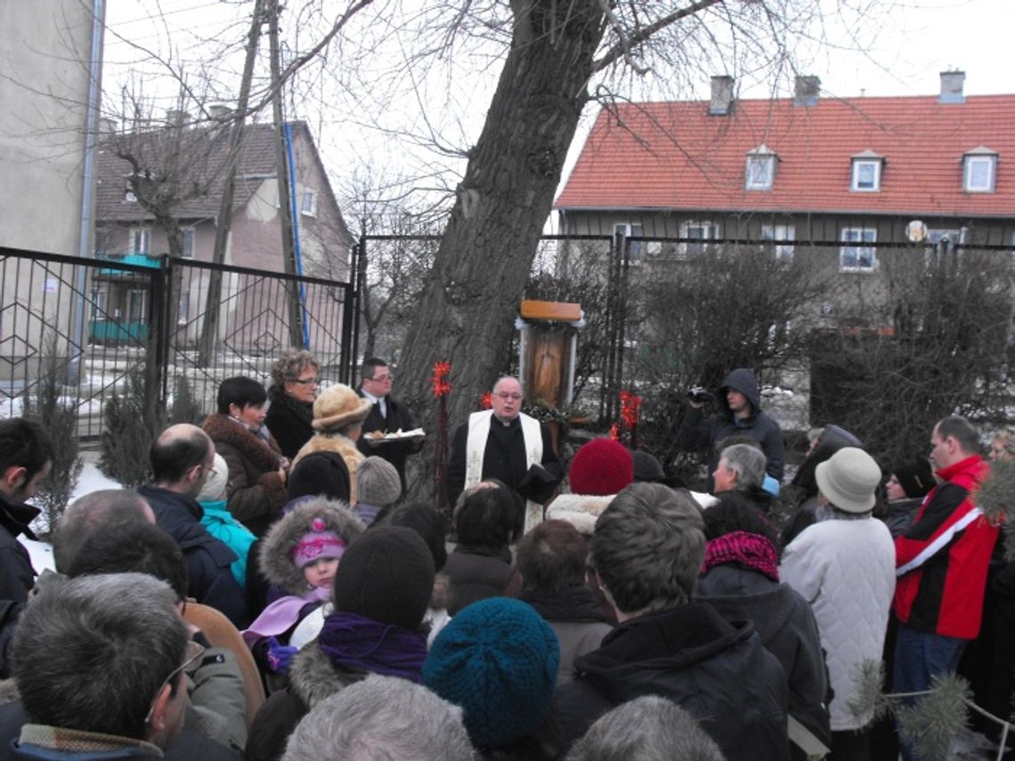 Figurka Matki Boskiej Niepokalanego Poczęcia w ogrodzie Figurka Matki Boskiej Niepokalanego Poczęcia w ogrodzie