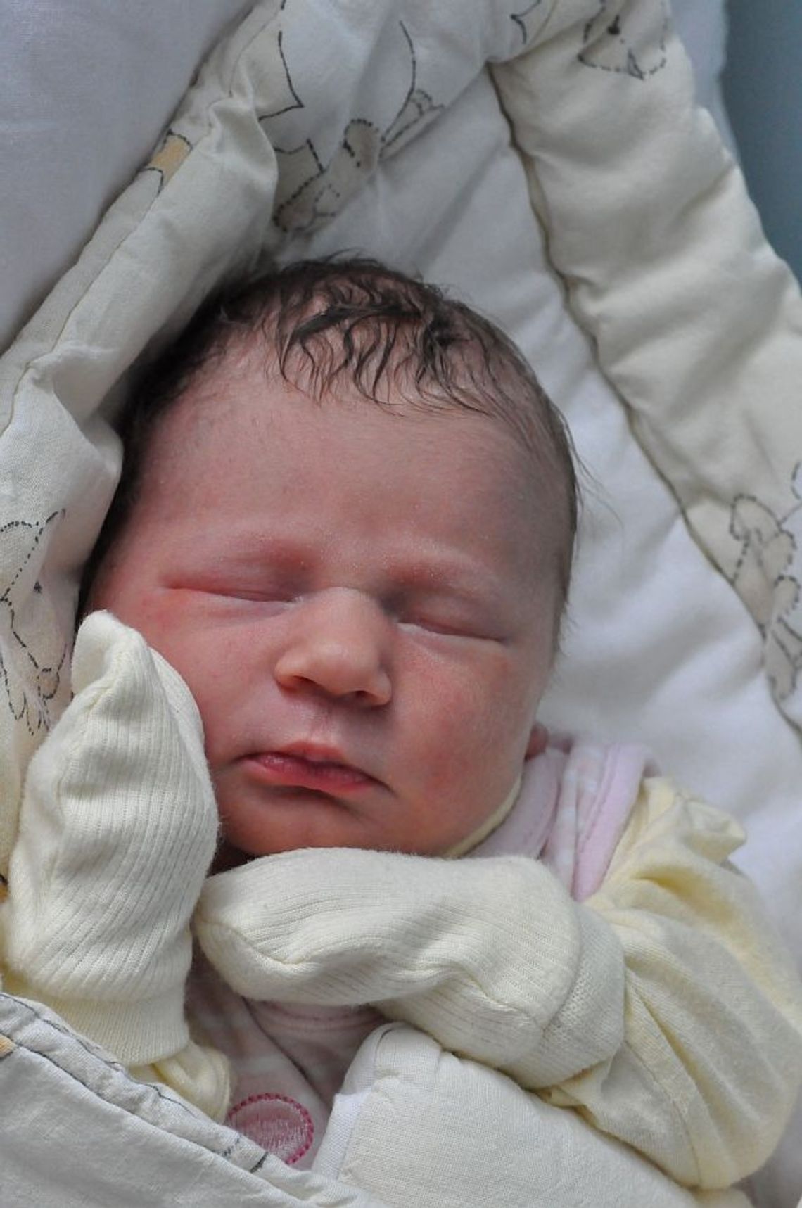 [FOTO] Maluszki - powitajcie nowych mieszkańców