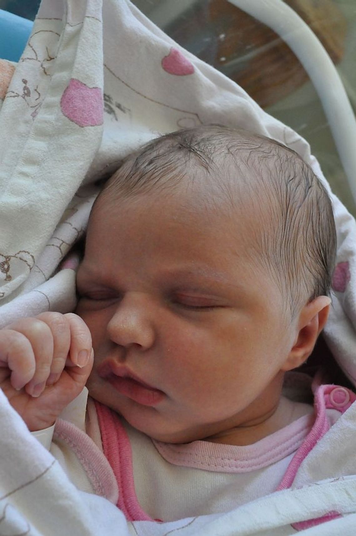 [FOTO] Maluszki - poznaj nowych mieszkańców!