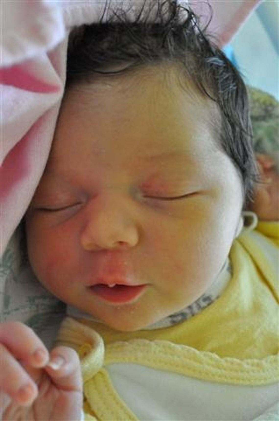 [FOTO] Maluszki - poznaj nowych mieszkańców!