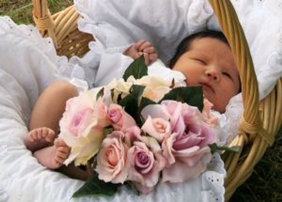 [FOTO] Poznaj MALUSZKI - nowych mieszkańców Tczewa i okolic!