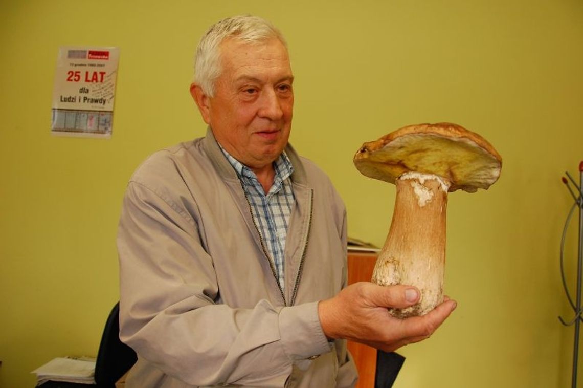   Gigantyczny borowik spod Swarożyna