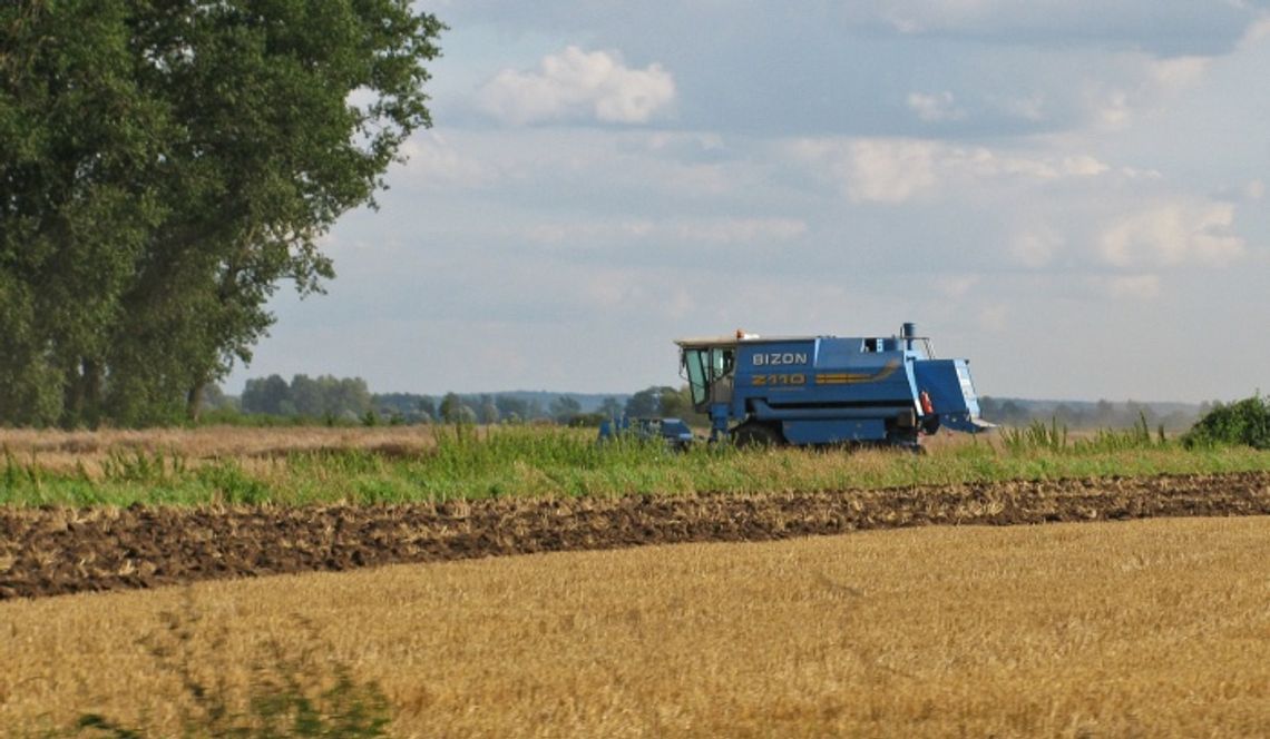 Gospodarzu, oczekuj rachmistrza. Powszechny Spis Rolny 2010 już we wrześniu