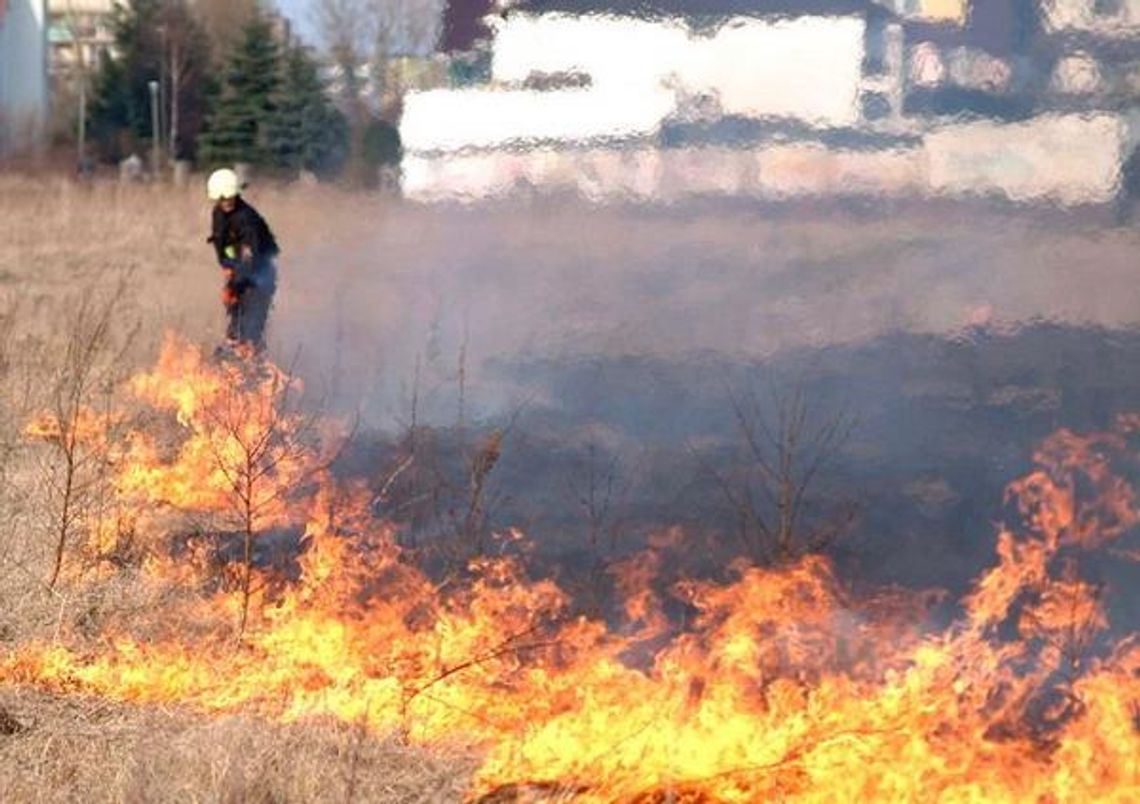Grasuje podpalacz? Mieszkańcy zaniepokojeni ostatnimi pożarami Grasuje podpalacz? Mieszkańcy zaniepokojeni ostatnimi pożarami