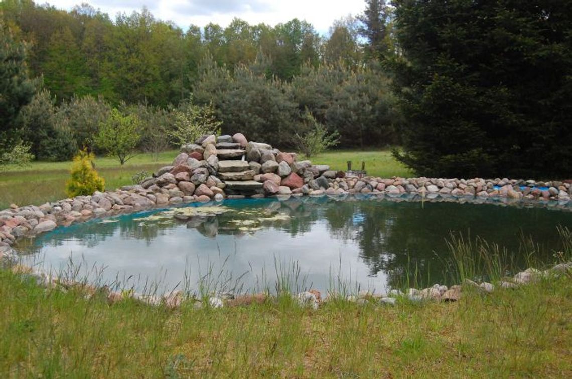 Jak doszło do dramatu w Rakowcu - w oczku wodnym utonął 3-letni chłopczyk? Jak doszło do dramatu w Rakowcu - w oczku wodnym utonął 3-letni chłopczyk?